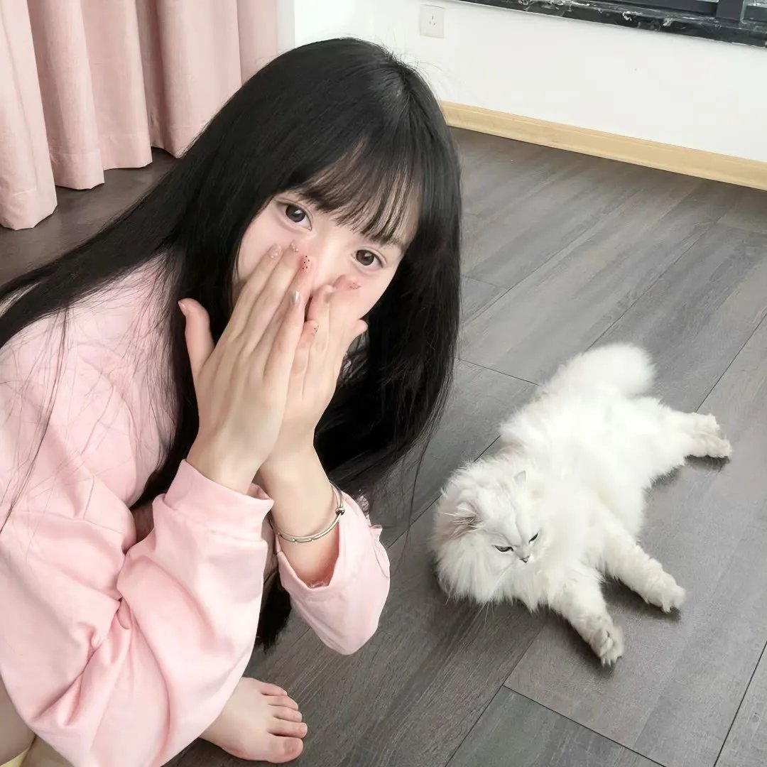 火鸟出击